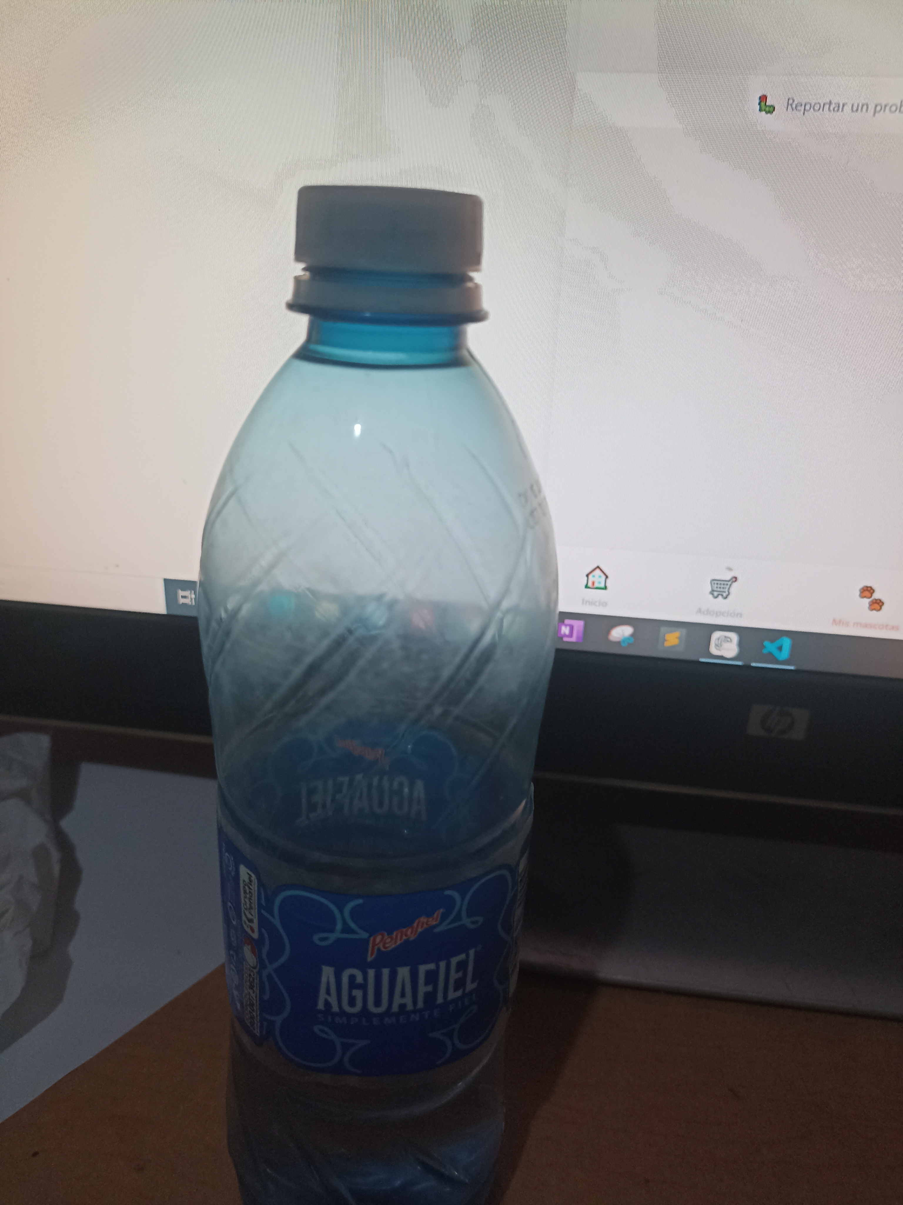 Mascota prueba
